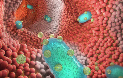 Probiotic bacteria illustration