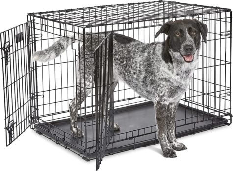 MidWest Homes for Pets Newly Enhanced Single & Double Door iCrate Dog Crate