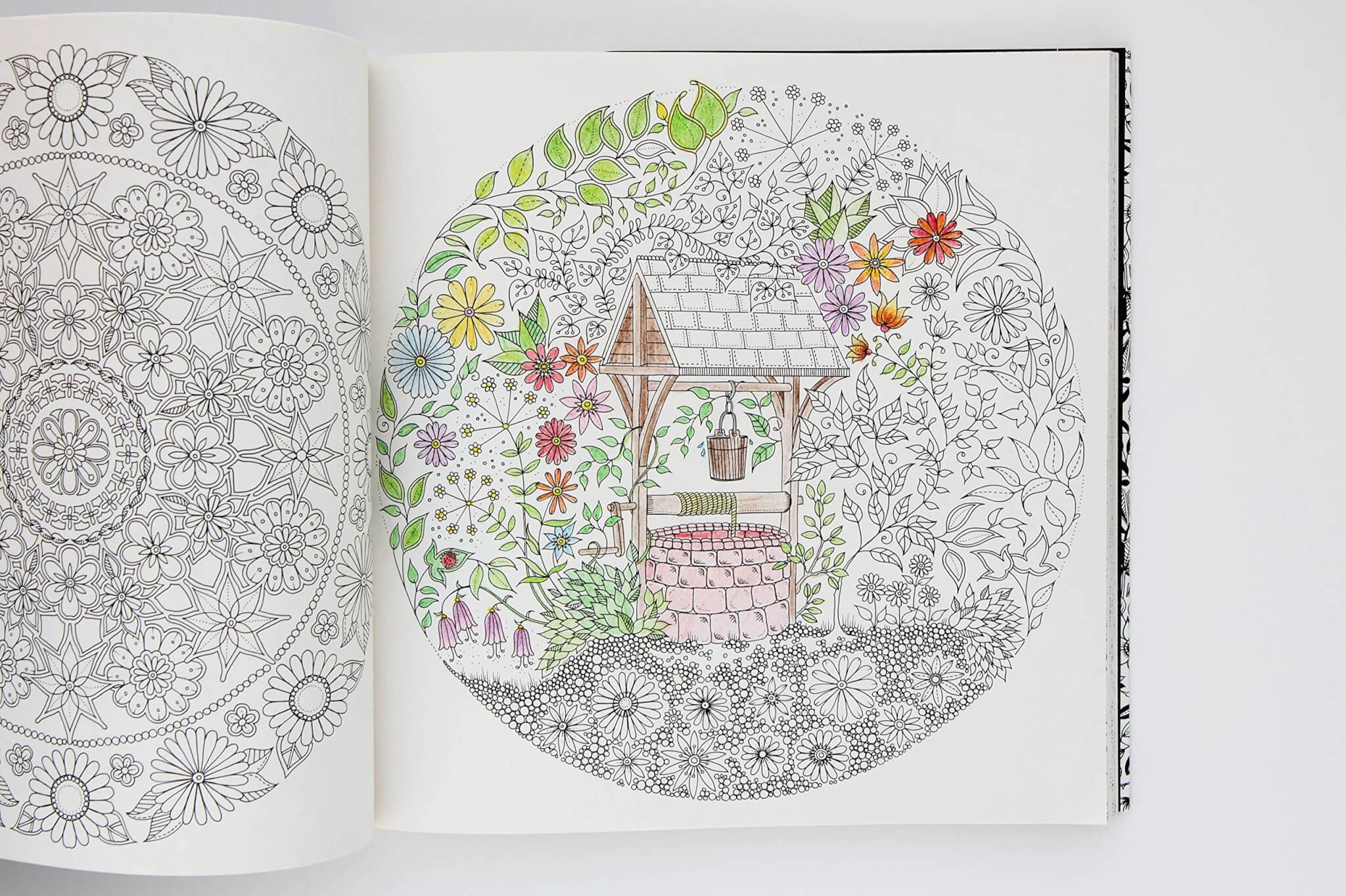 adult coloring book with colored pages