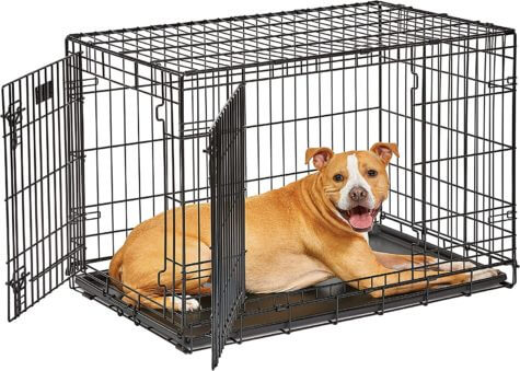MidWest Life Stages 36" Double Door Folding Metal Dog Crate