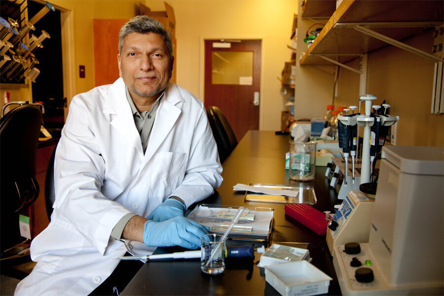 Pradeep Bhide in his lab at Florida State University