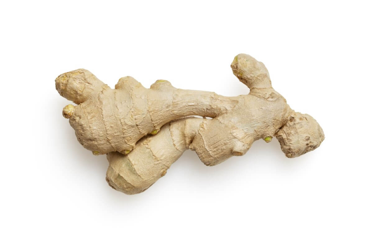 Close-up of ginger root on a white background