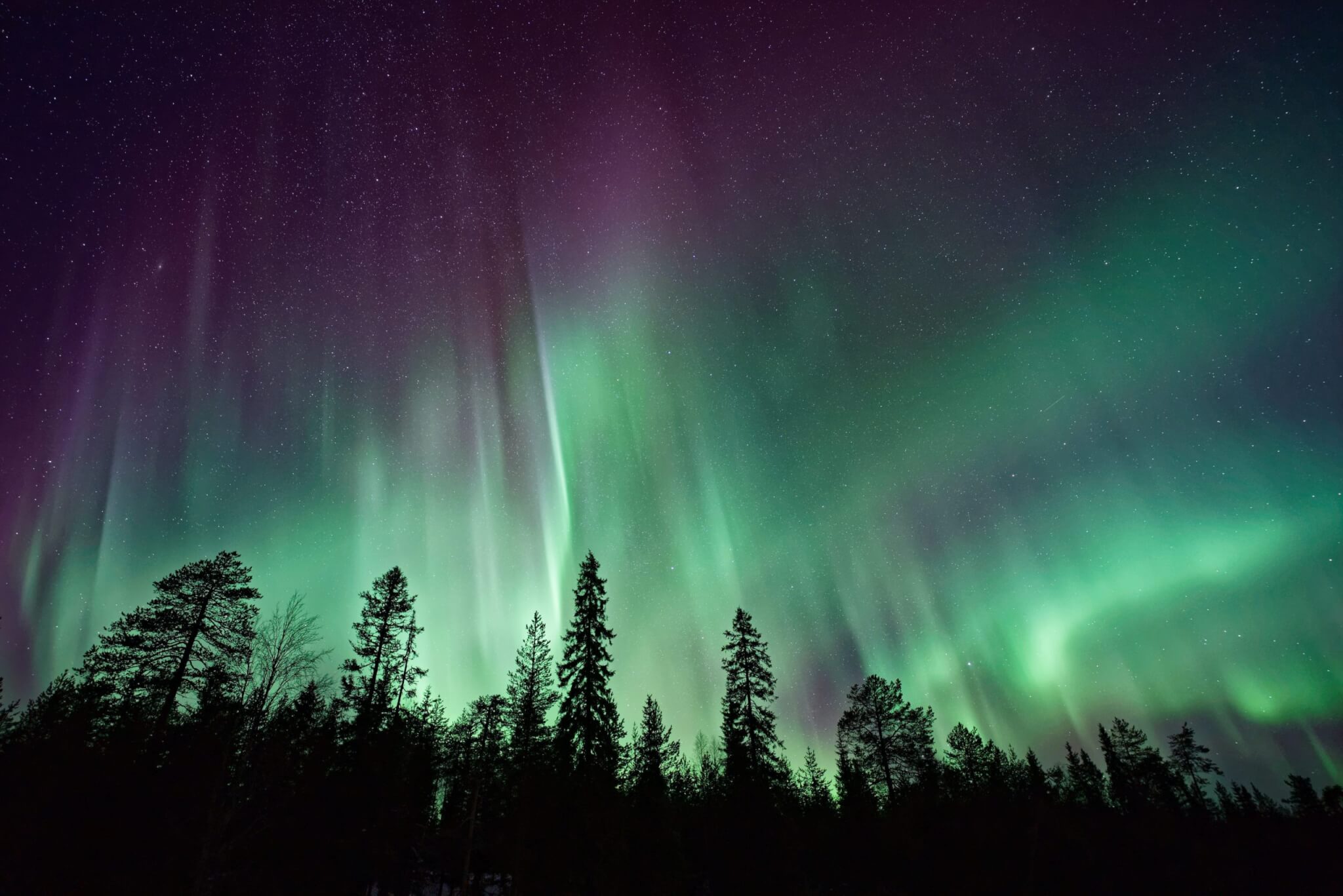 Best Places To See Northern Lights: Top 5 Aurora Borealis Spots Recommended  By Travel Experts - Study Finds