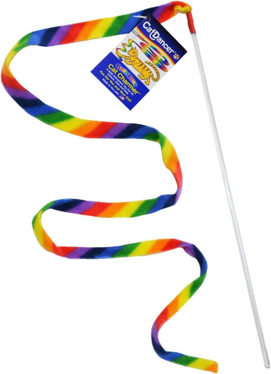 rainbow colored string on a stick cat toy