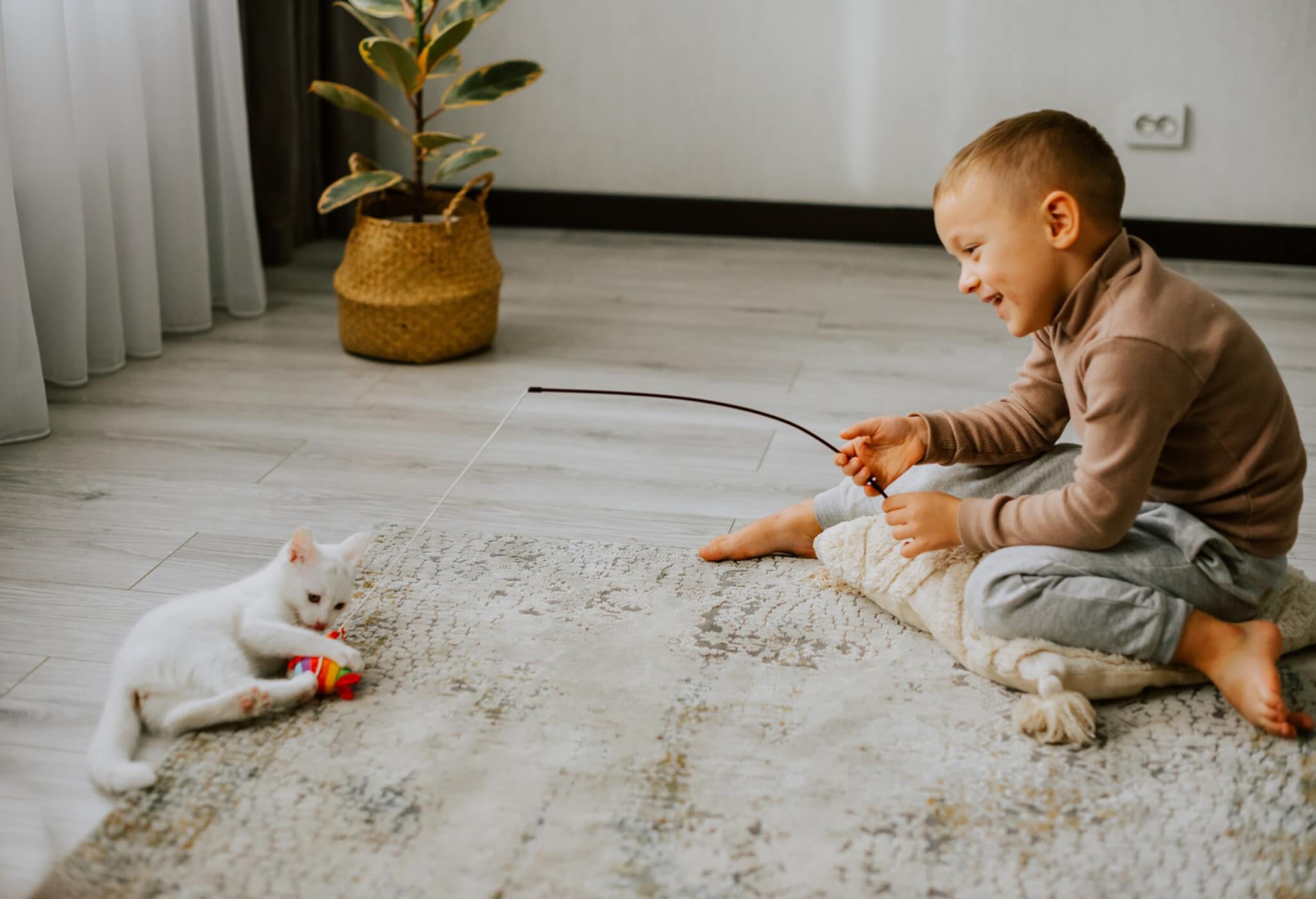 Boy and cat playing with fishing toy