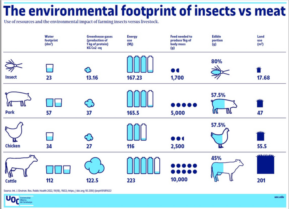 Chart showing the environmental footprint of insects versus meat