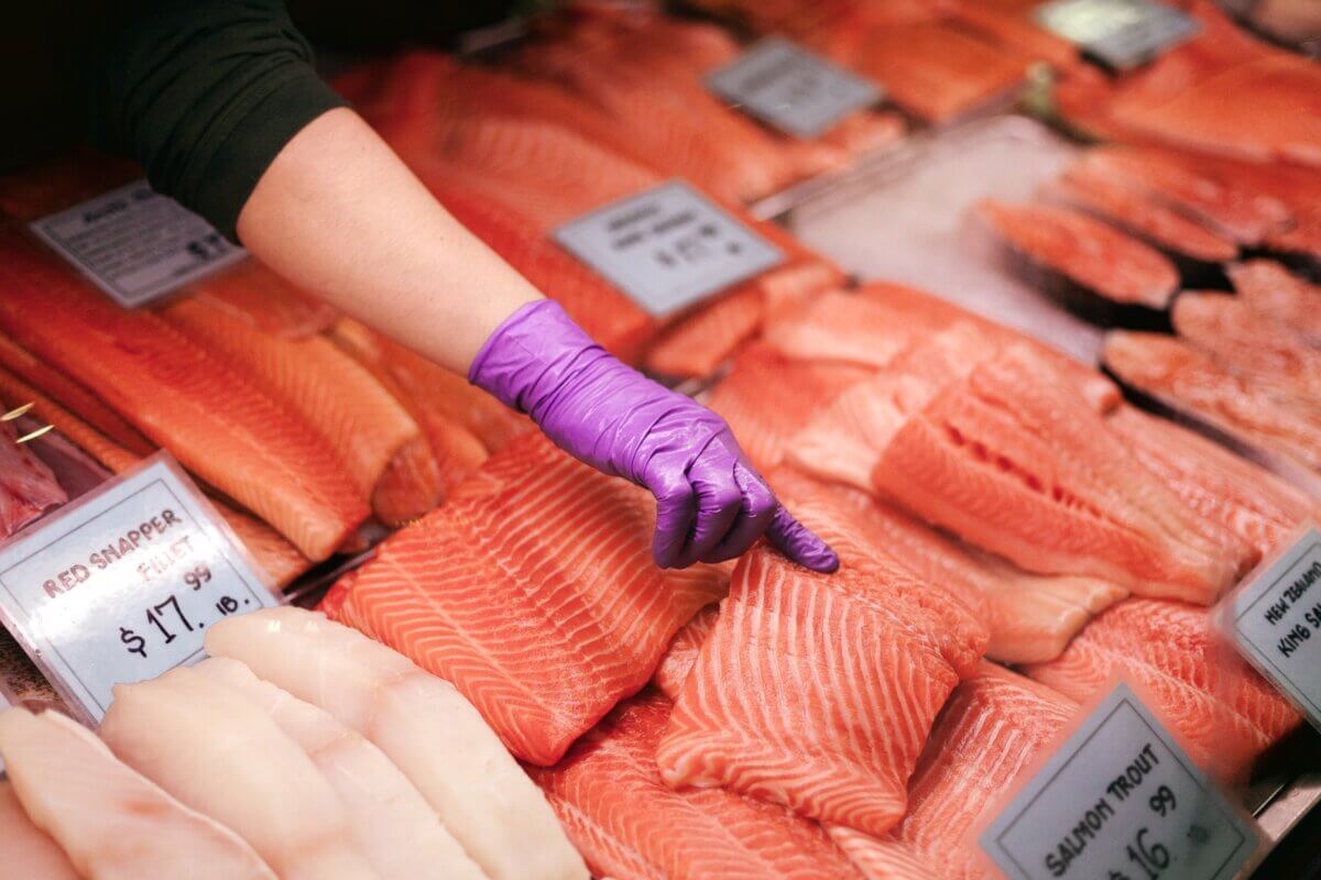 Salmon filets and other fish at a market