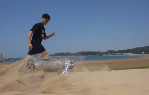 Robot dog runs on a beach next to a man