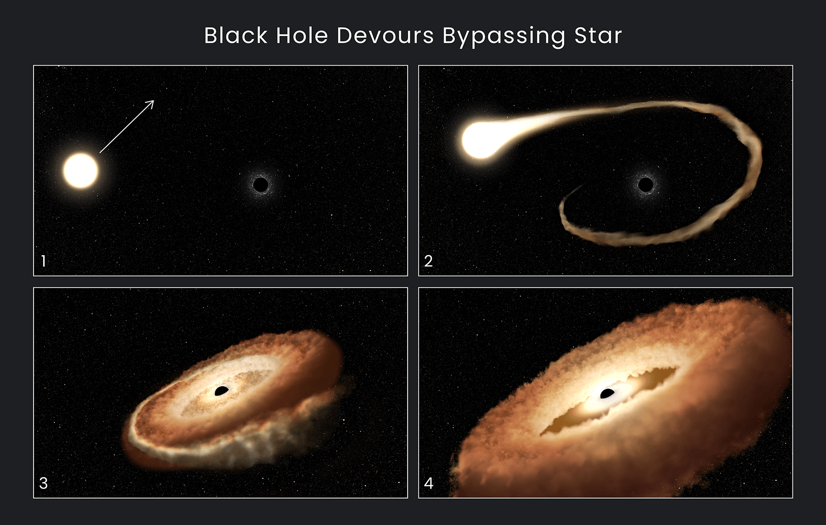 A black hole twists a nearby star into a donut shape