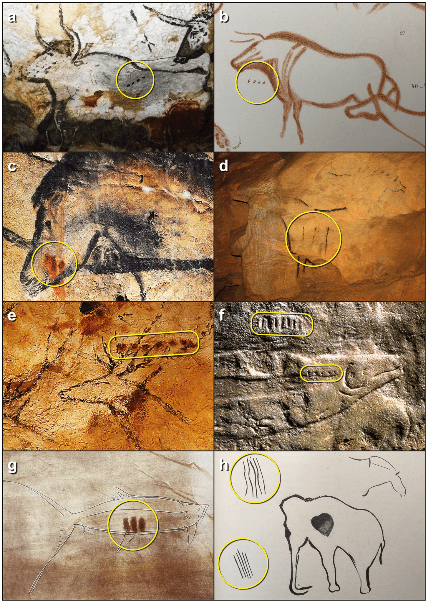 Mysterious markings on ancient cave paintings finally decoded - Study Finds