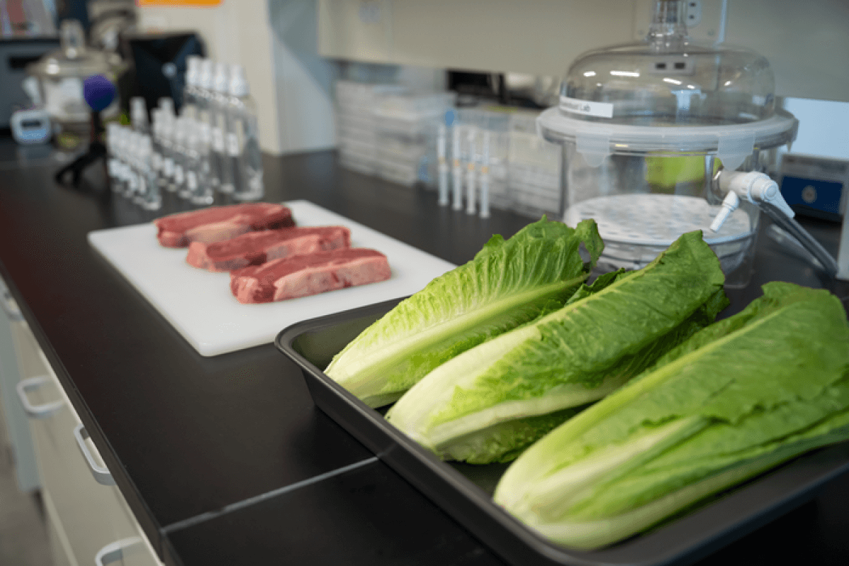 Meat and lettuce in a lab