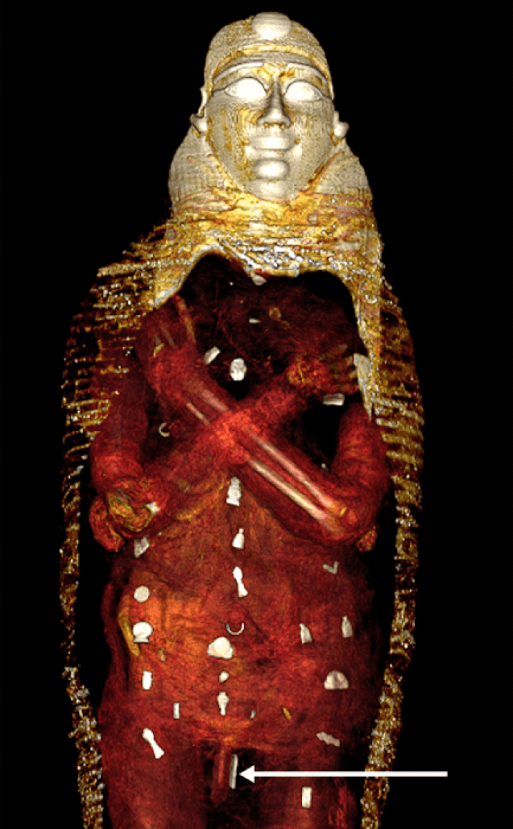 CT scan of amulets inside a mummy's coffin