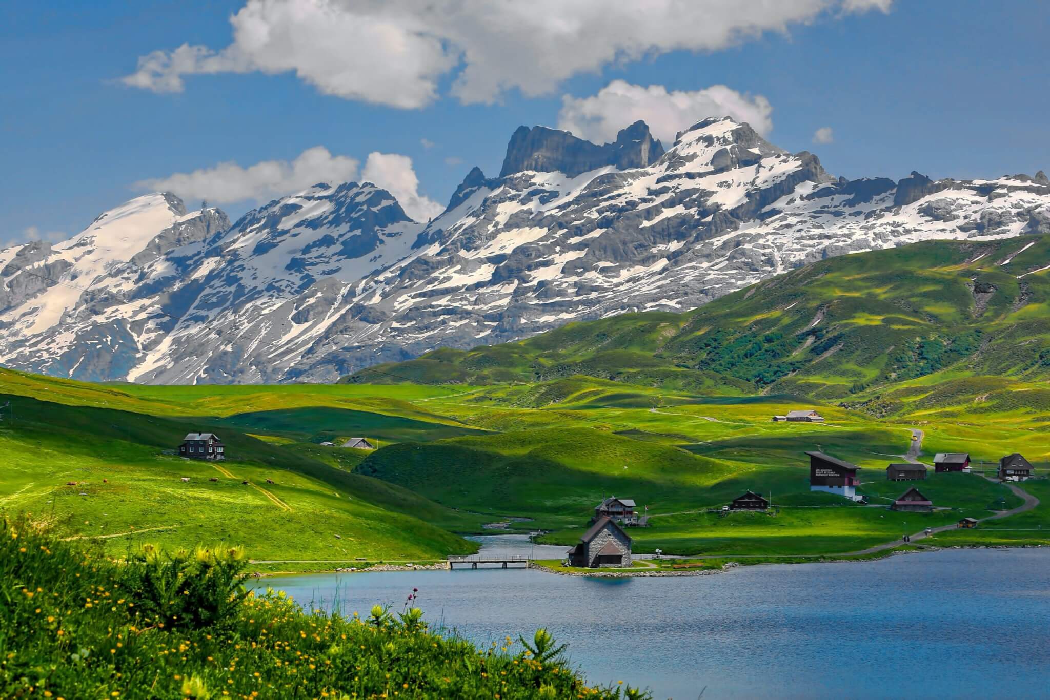 Spring in the Swiss Alps with a pond and green grass
