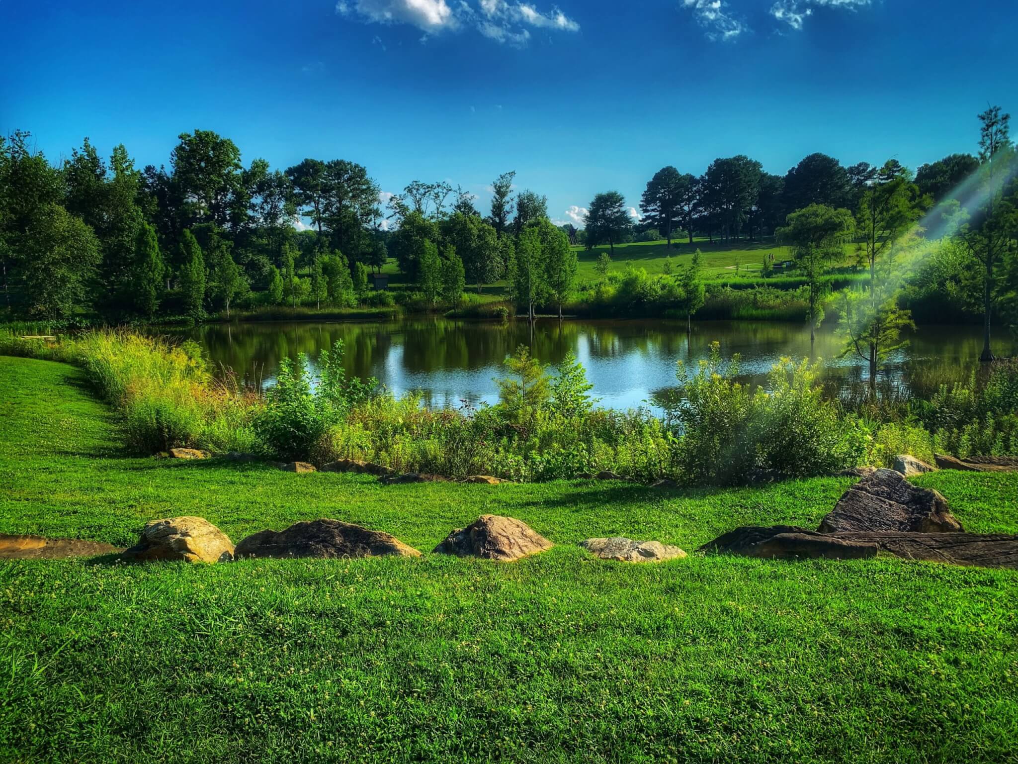 a pond in Raleigh, North Carolina 