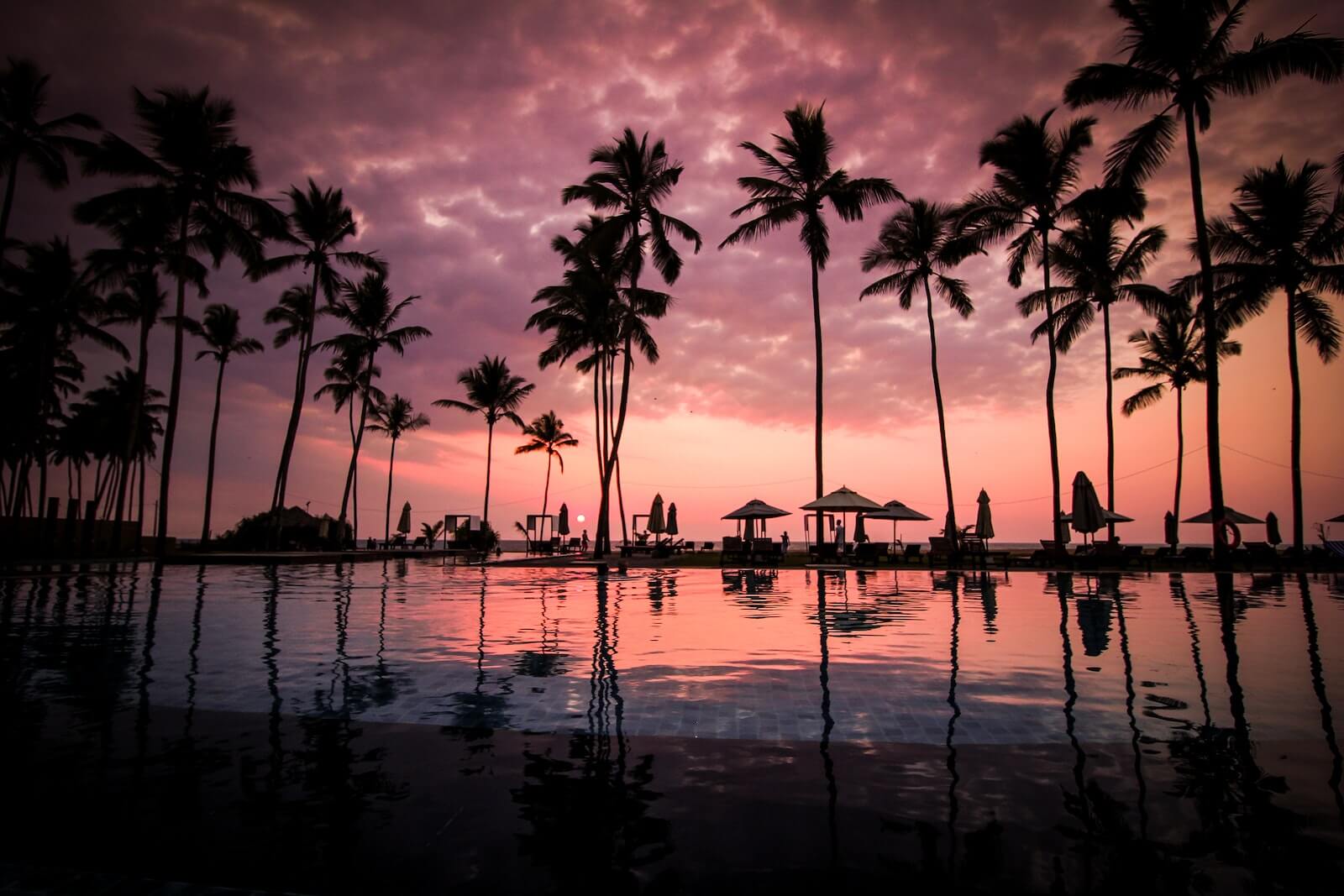 Palm trees next to water in Hawaii
