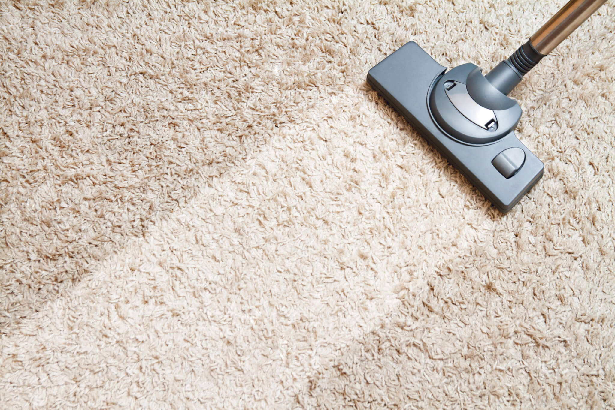 Best of The Best Carpet Cleaners: Top 5 Products Most Recommended By  Experts - Study Finds