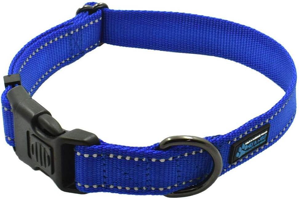 Max and Neo's The NEO Dog Collar