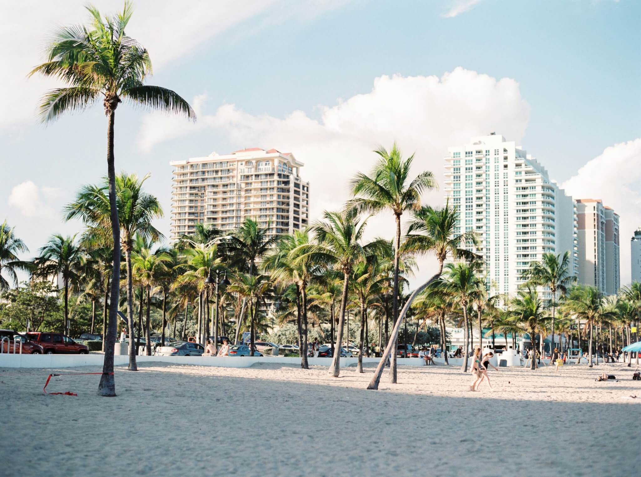 Miami, Florida buildings hidden behind palm trees.