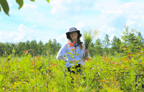 Researcher Caitlin Risener stands in grassy field with goldenrod plant
