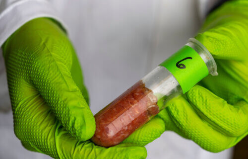 scientist holds a tube of cured meat