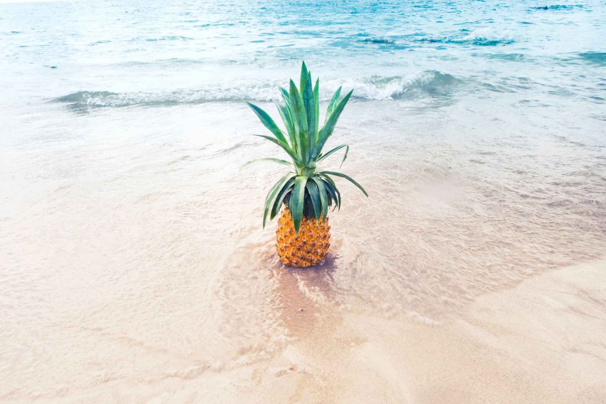 pineapple on the beach in the ocean