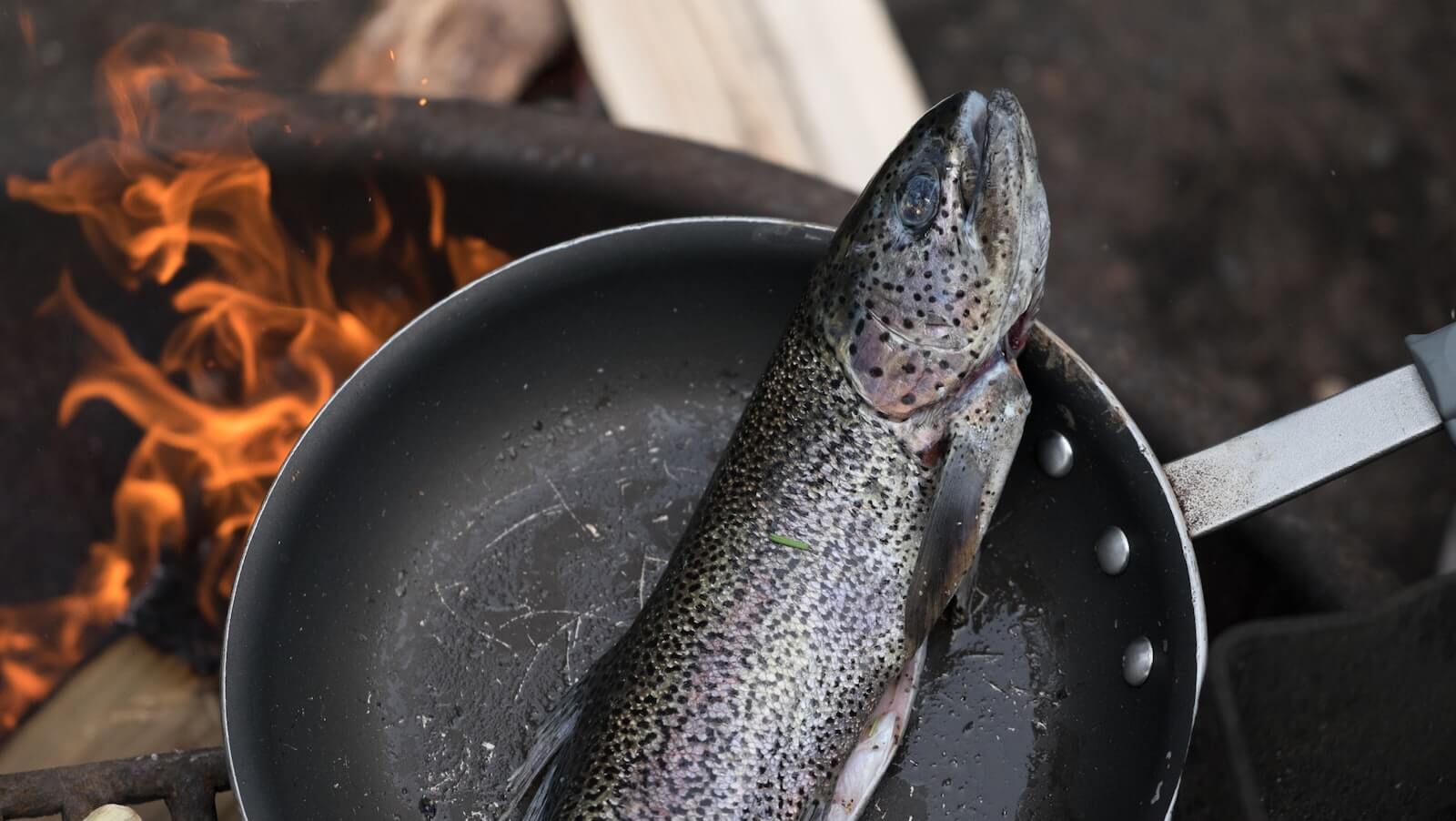 Rainbow trout on black frying pan