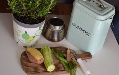 Compost bin and vegetables on a countger, best compost bins
