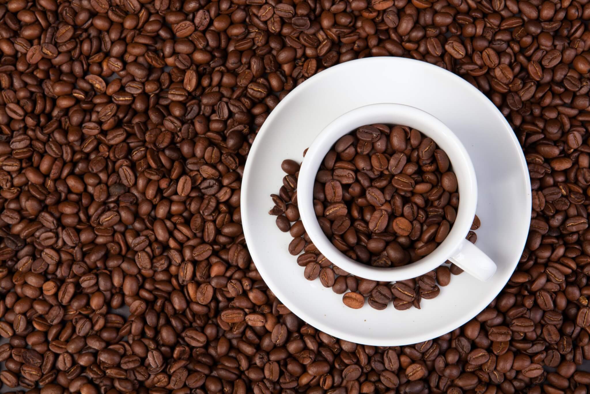 Best Of The Best Coffee Beans In 2023: Top 5 Brews Most Recommended By Experts