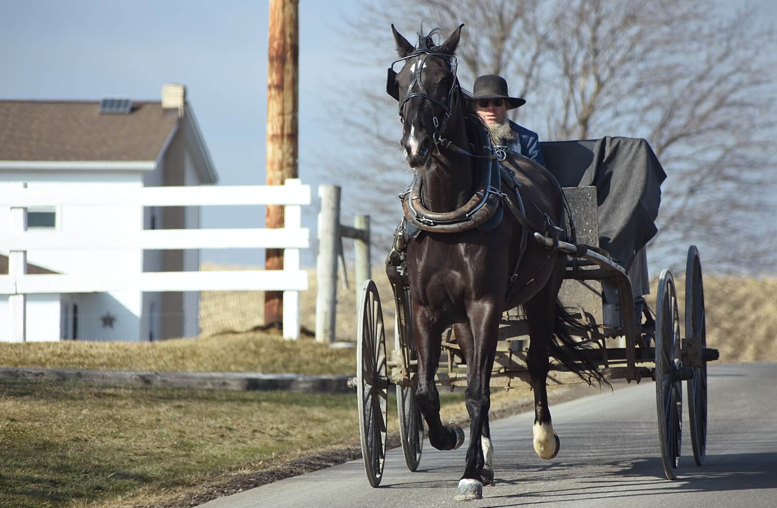Amish horse-drawn carriage