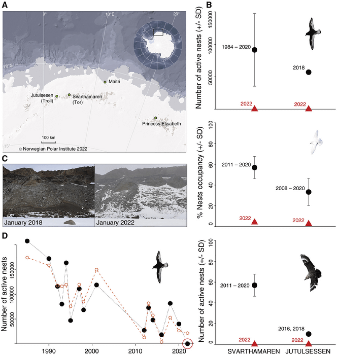 Seabird reproduction chart in Antarctica
