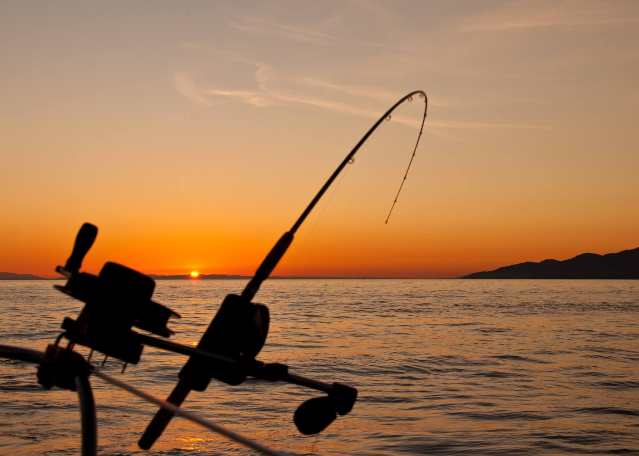 Fishing rod with sunset in the background