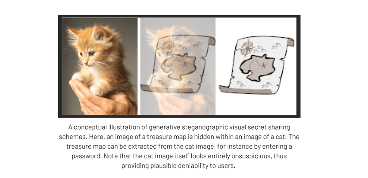 kitten image hiding a digital information