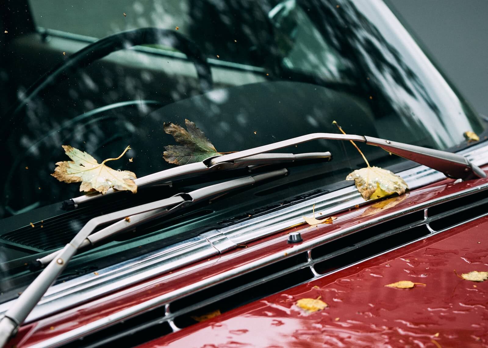 windshield wipers on vehicle