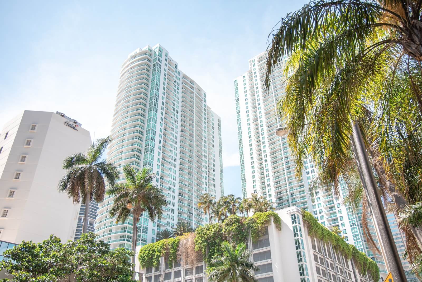 Palmbomen en gebouwen in Miami
