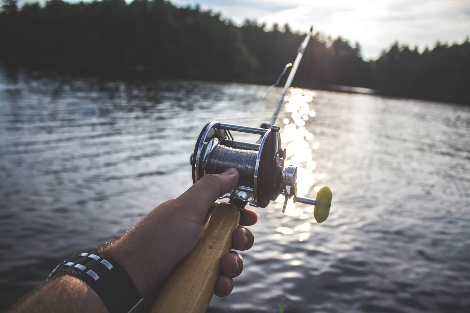 Picking the Right Fishing Rod for Beginner Anglers
