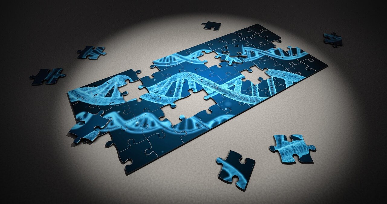 puzzle, dna, research