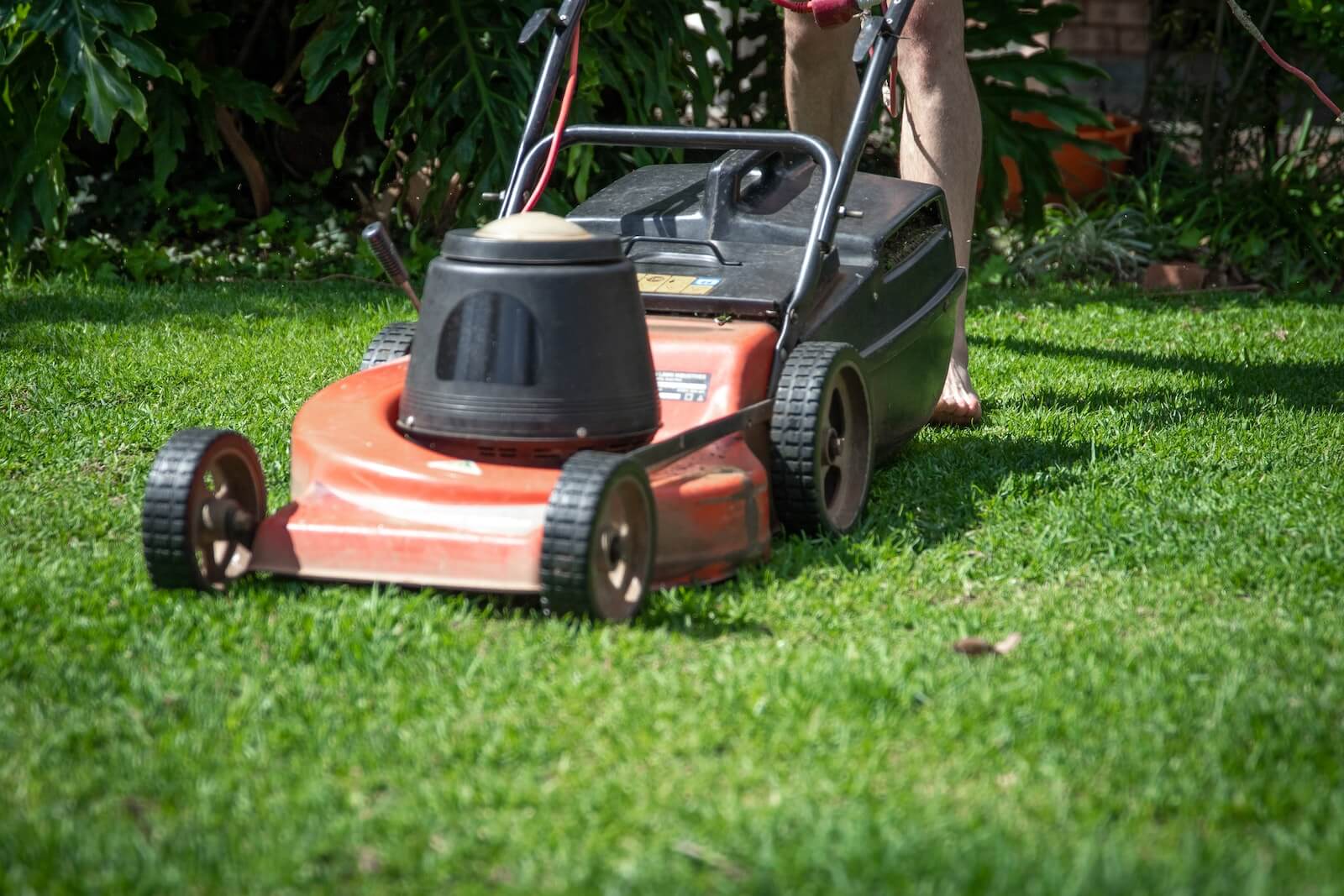 red lawnmower on green grass being pushed