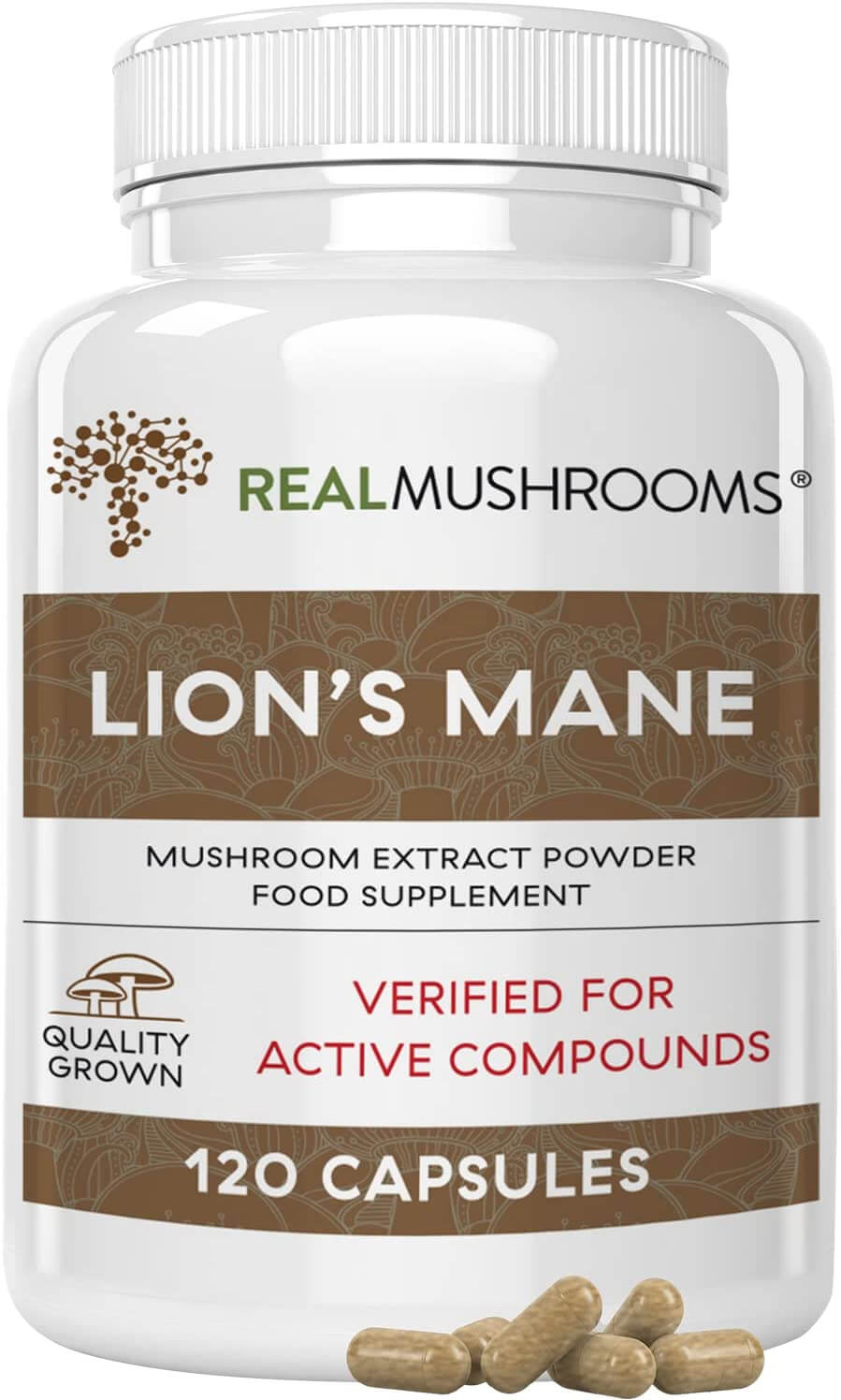 Amazon's Choice: Real Mushrooms Lion's Mane Extract Powder