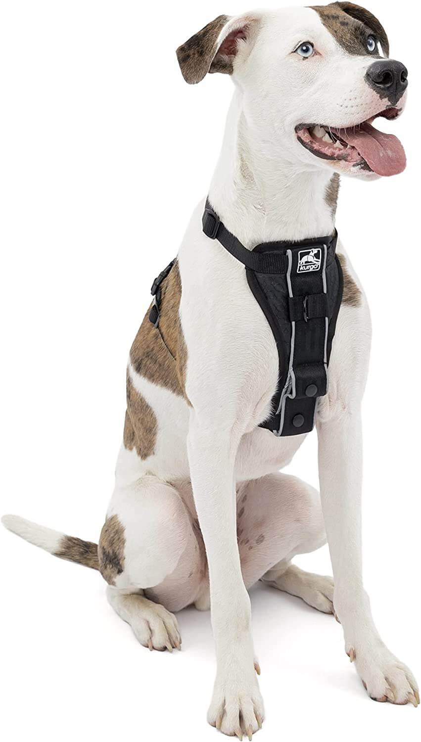 Kurgo Tru-Fit Smart Dog Walking Harness