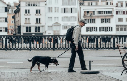 Elderly Man Walking a Dog