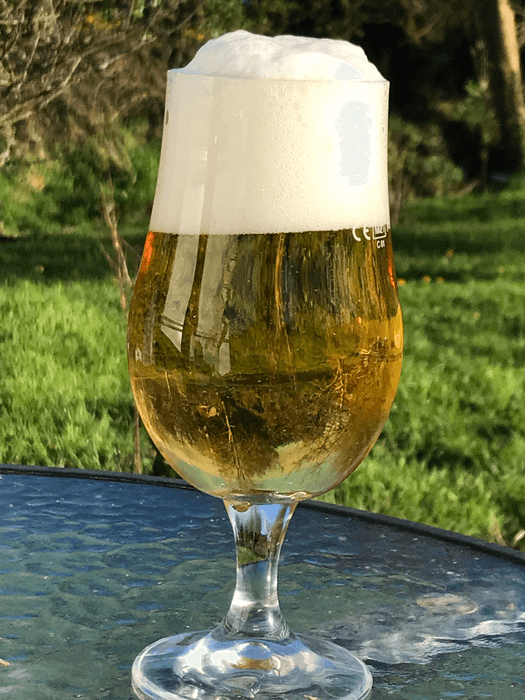 Pilsner-style lager in large glass with foam