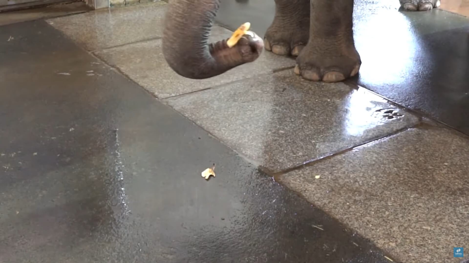 Pang pha peeling a banana