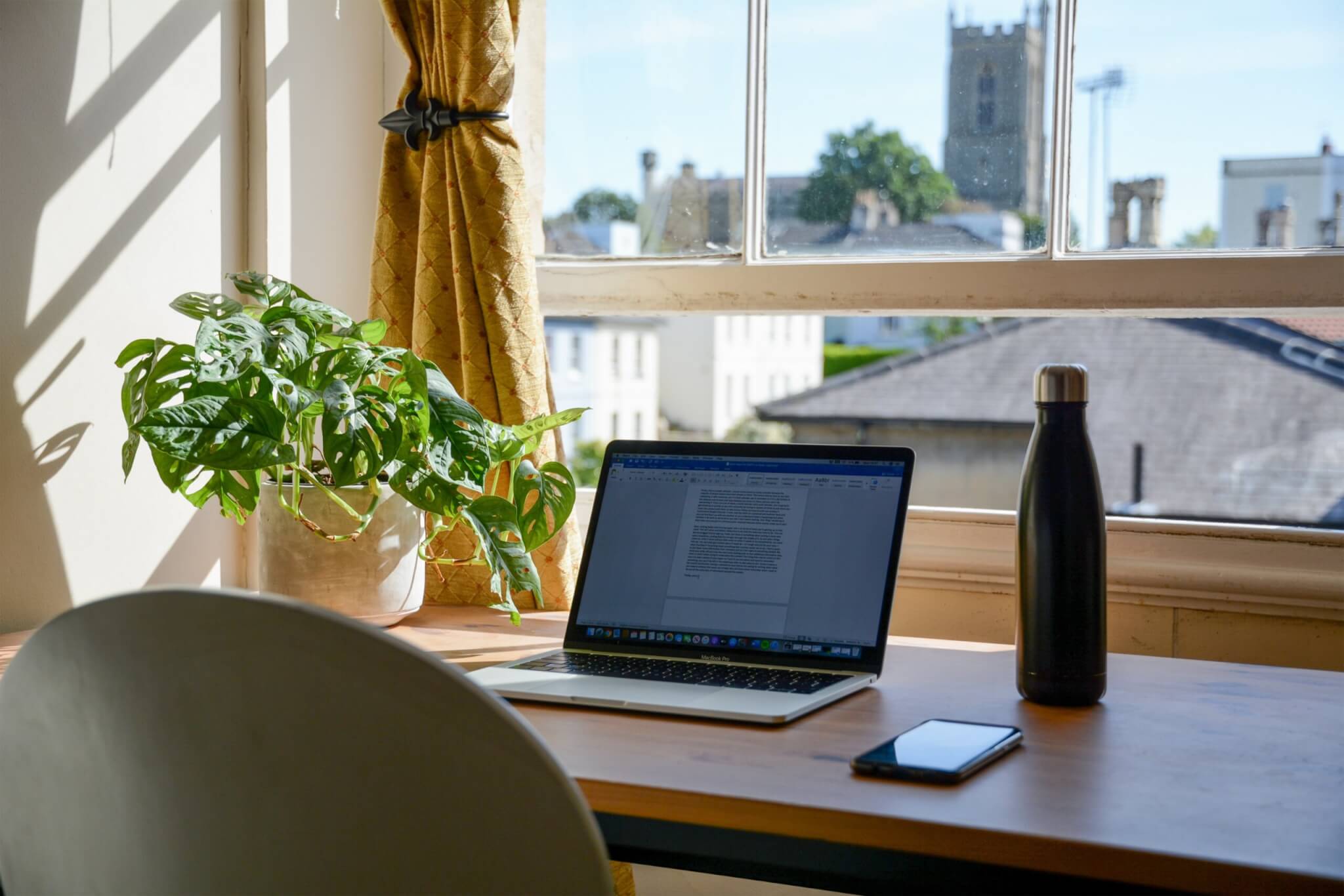 Plant on desk next to laptop computer and smartphone