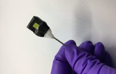 A standalone artificial leaf (black) attached to a metal rod support.