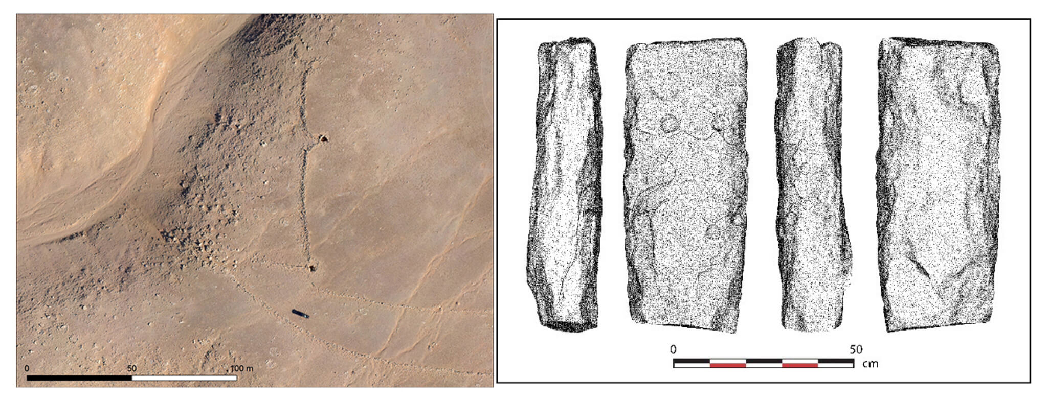 The oldest known scale building plan in human history: the depiction of a nearby desert dragon in Jordan is dated to around 9,000 years ago. 