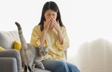 Woman suffering from cat allergy