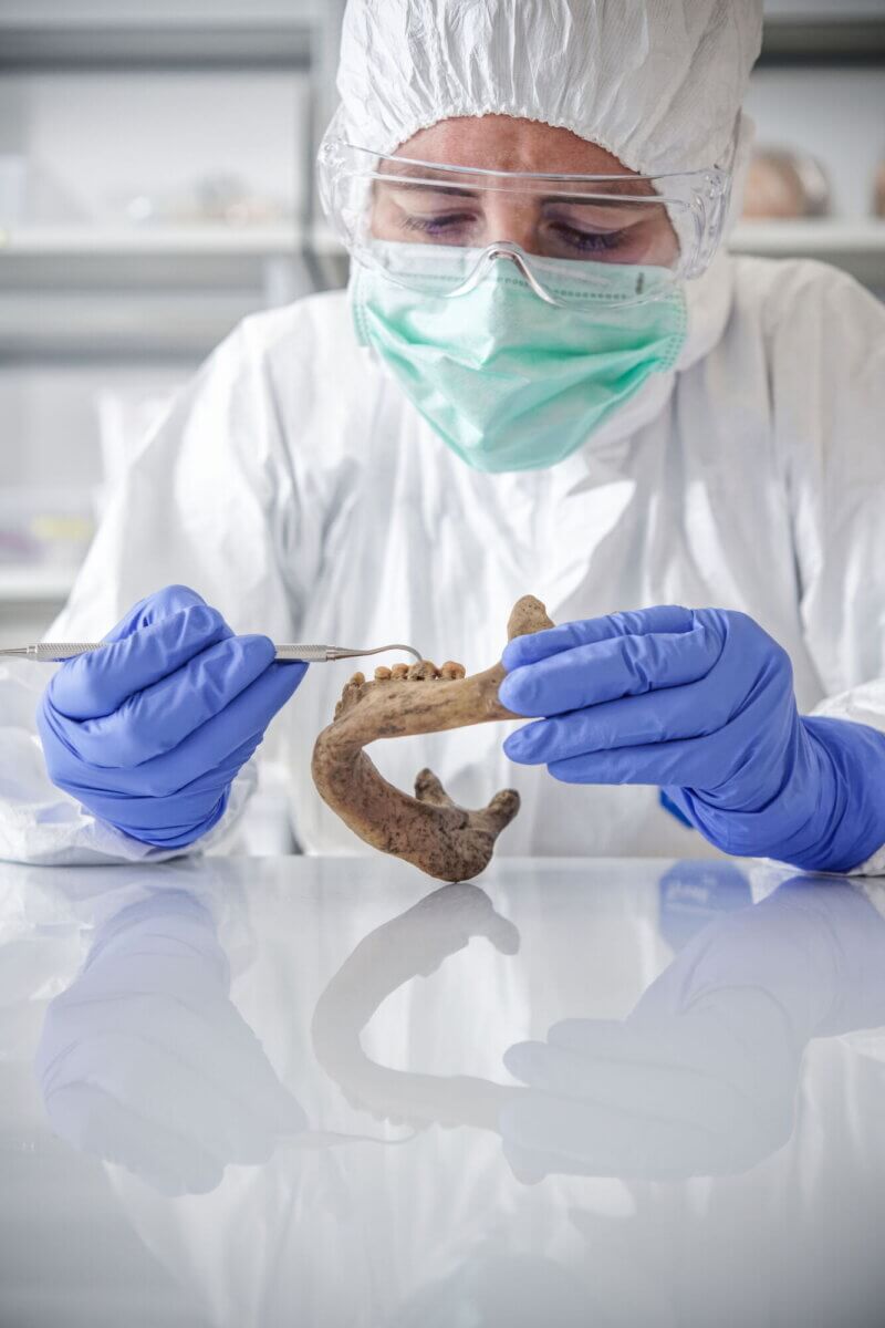 Chemist studies the genomes of ancient bacteria in dental fossils