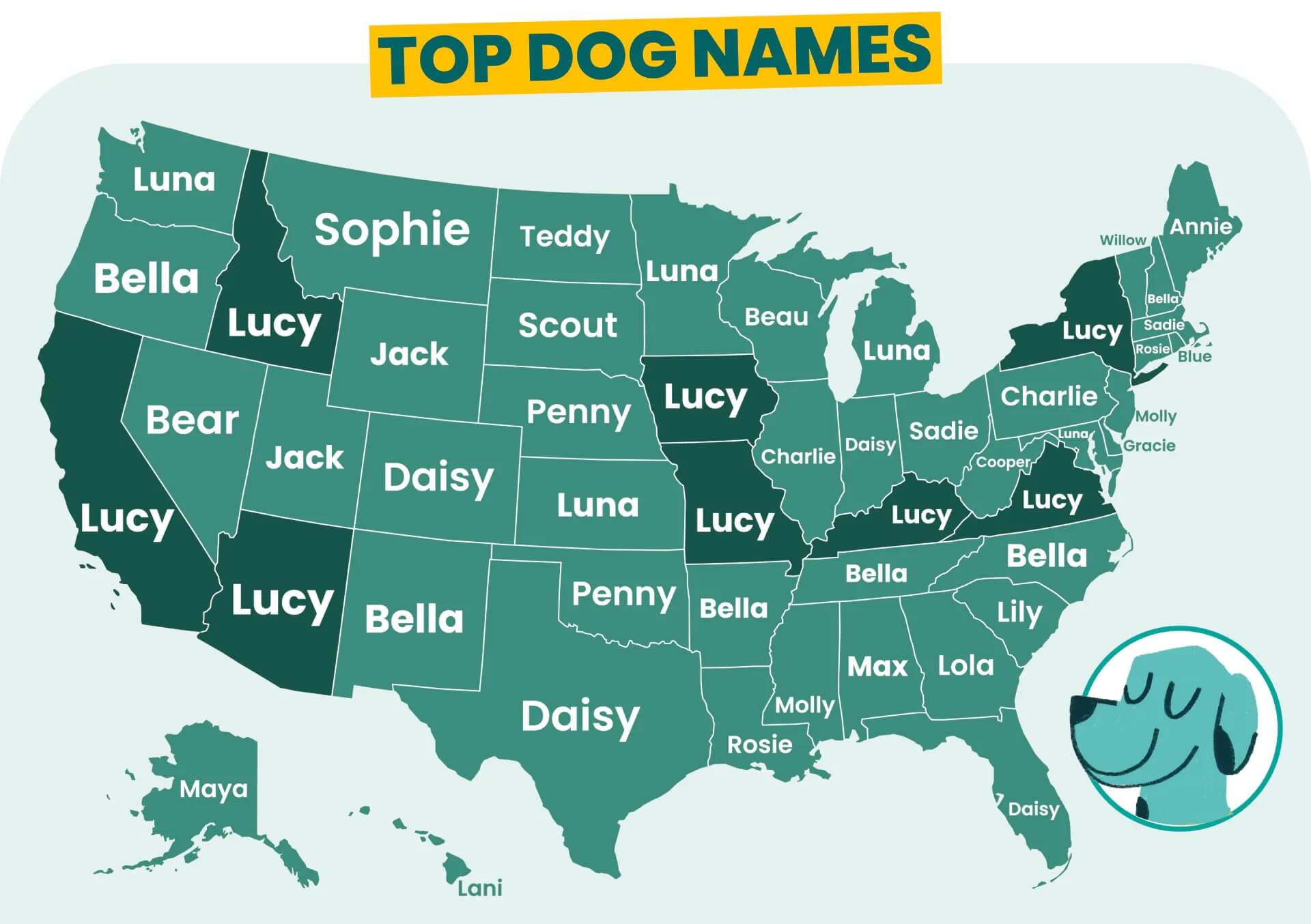Dog names by state