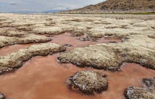Great Salt Lake shows dramatically dropping water levels and exposure and bleaching of microbialite reefs.