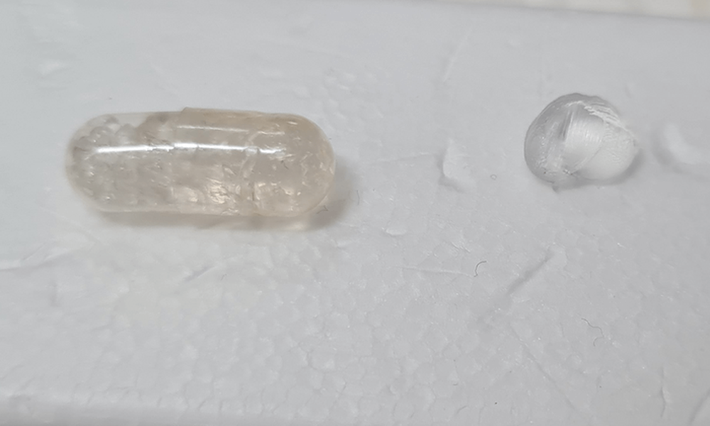 The oral capsule designed by the RMIT team, alongside the fatty nanomaterial filled with insulin that is within in the capsule.